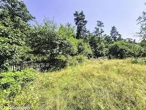 Teren intravilan  Cotmeana Arges - imagine 3