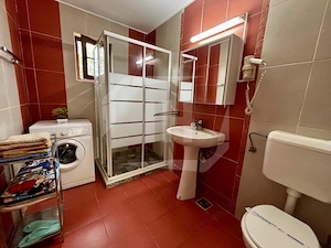 Casa de inchiriat I 2 camere I cu parcare I pet-friendly I Someseni - imagine 12