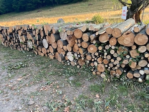lemne de foc