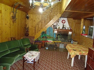 Pensiune de vânzare în Lepșa - Vrancea - imagine 7