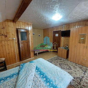 Pensiune de vânzare în Lepșa - Vrancea - imagine 12
