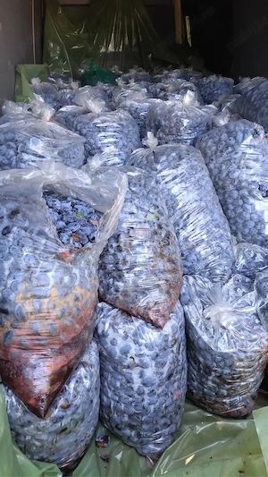 vand prune de tuica livrare la domiciliu in toata tara 