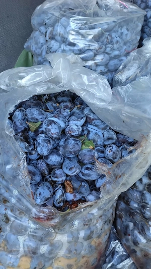 vand prune de tuica 