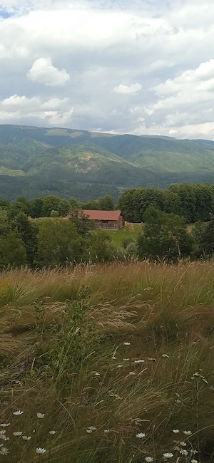 Teren la munte ieftin poiană retrasă 