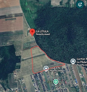Caut Teren Padurea Uricani Valea Ursului