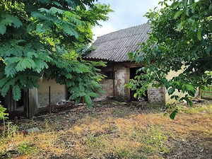 Casă cu teren în Abramut - imagine 9
