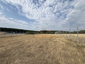 TEREN INVESTITIE | PANORAMA | 4.350 MP | SAUAIEU | BIHOR - imagine 2
