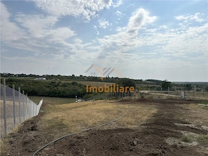 TEREN INVESTITIE | PANORAMA | 4.350 MP | SAUAIEU | BIHOR - imagine 3