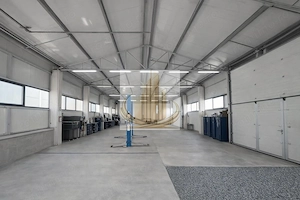 Hală Industrială Săcălaz | 110-330 mp | Acces TIR - imagine 3