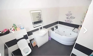 Casa P+M, Sag, central, 6 camere, 1763 mp teren, mobilata, utilata - imagine 18