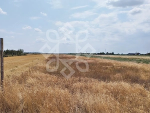 Teren intravilan de vanzare, 3000 mp in Gepiu, Bihor - imagine 4