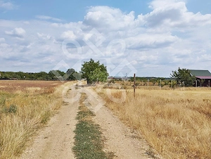 Teren intravilan de vanzare, 3000 mp in Gepiu, Bihor - imagine 2