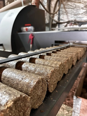 Brichete lemn cantitati mari, pret producator, Dambovita