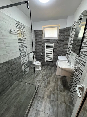 Ap 350 euro+TVA langa padure in dumbravita - imagine 5