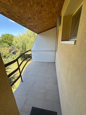 Ap 350 euro+TVA langa padure in dumbravita - imagine 6