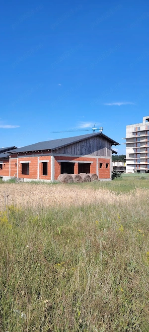 Teren parcelat,  Băile Felix lângă Complex Prezident  - imagine 3