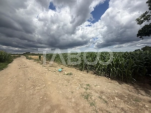 Comision 0% Teren intravilan 3934 mp toate utilitatile zona Dejani  - imagine 3