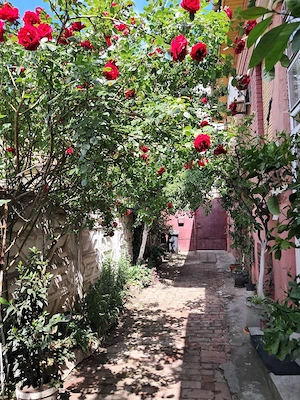 Proprietar vand casa iosefin - imagine 8