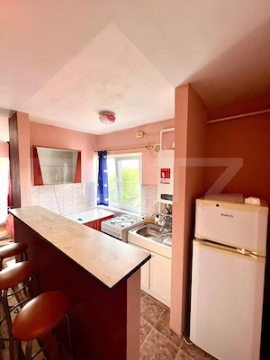 Apartament cu 1 camera, 27.17 mp, zona Calea Turzii - imagine 3