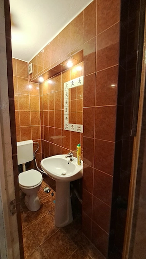 3 camere Crangasi - imagine 8