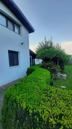 Casă solidă 120 mp, curte 700 mp amenajată   Vânători Petrăchioaia - imagine 4