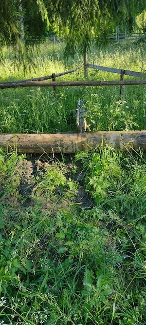 Vând teren cu casa în Bucovina, Șaru Dornei vino sa vezi și să te convingi  - imagine 8