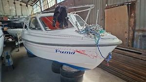 vand flipper 515, suzi 60 hp si peridoc 1300kg