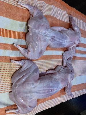 Carne proaspătă de iepure   producție locală   gospodărie - imagine 2
