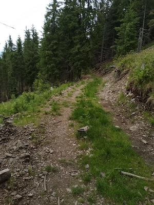 Vând teren în Bucovina  - imagine 3