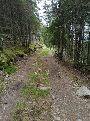 Vând teren în Bucovina  - imagine 9