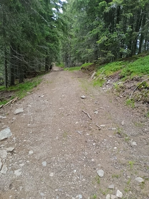 Vând teren în Bucovina  - imagine 10
