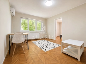 Apartament cu 2 camere, pet friendly, zona Take Ionescu - imagine 3