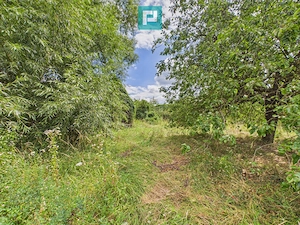 Casă cu teren de 2341 mp, în Bonțești, Arad - imagine 9