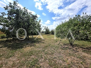 AX1309 Giarmata-Vii, Teren 1000 Mp, Toate Utilitatile - imagine 10