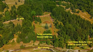 Teren 6000 mp, Valea Dălghiului - Vama Buzăului - vedere către Ciucaș