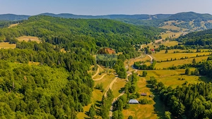Teren 6000 mp, Valea Dălghiului - Vama Buzăului - vedere către Ciucaș - imagine 4