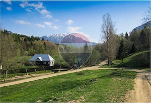 Teren 6000 mp, Valea Dălghiului - Vama Buzăului - vedere către Ciucaș - imagine 6