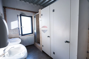 Vânzare Complex industrial  – 3.037 mp teren, 4 hale - 1400 mp Beiuş - imagine 5
