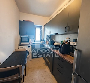 Apartament 2 camere si gradina, de vanzare, Dumbravita, Timis - imagine 6