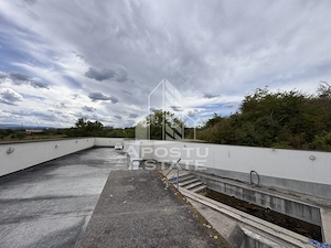 Vila deosebita cu piscina, familiala, investitie, business, Hunedoara - imagine 11
