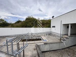 Vila deosebita cu piscina, familiala, investitie, business, Hunedoara - imagine 9