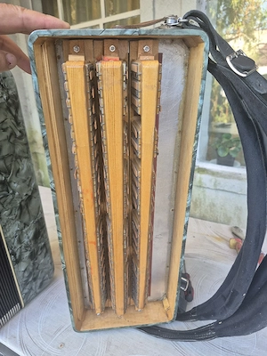acordeon weltmeister