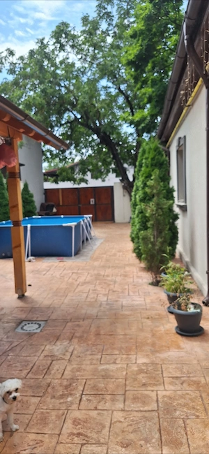 Casa de vanzare str Liniștei nr 24 - imagine 9