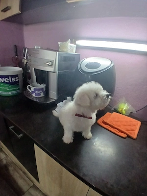 Un baietel frumos