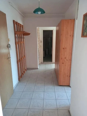 Apartament 2 camere decomandate Terezian (pet friendly) - imagine 4