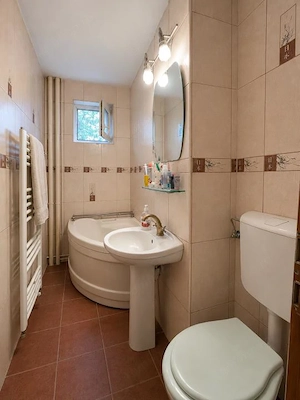 Apartament cu 2 camere, complet mobilat -zona Sagului Timișoara  - imagine 5