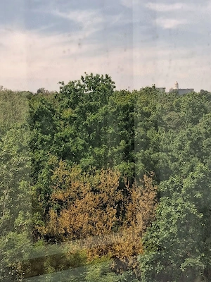 Proprietar Apartament de închiriat, 2 camere, Pridvorului   Tineretului   Vacaresti - imagine 4