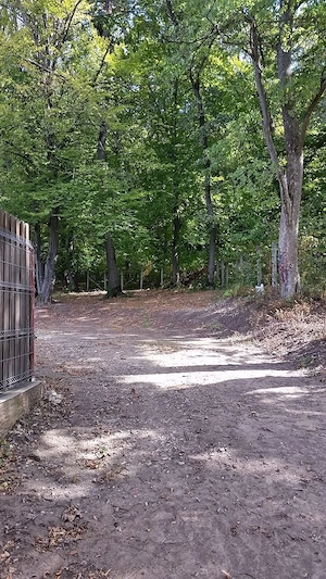 Proprietar vand teren extravilan Faget- Cluj - imagine 3