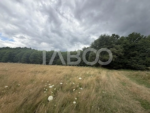 Teren extravilan 3650 mp latime 28 ml pretabil pentru cabana turistica - imagine 5