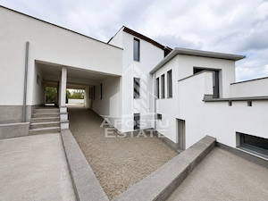 Vila deosebita cu piscina, familiala, investitie, business, Hunedoara - imagine 3